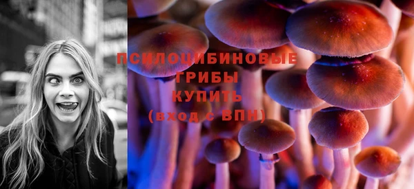 прущая мука Армянск