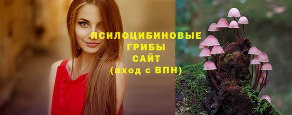 ешки Кодинск