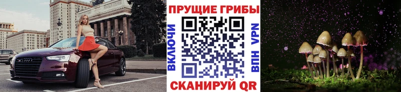 Галлюциногенные грибы Cubensis  где продают   Калтан 